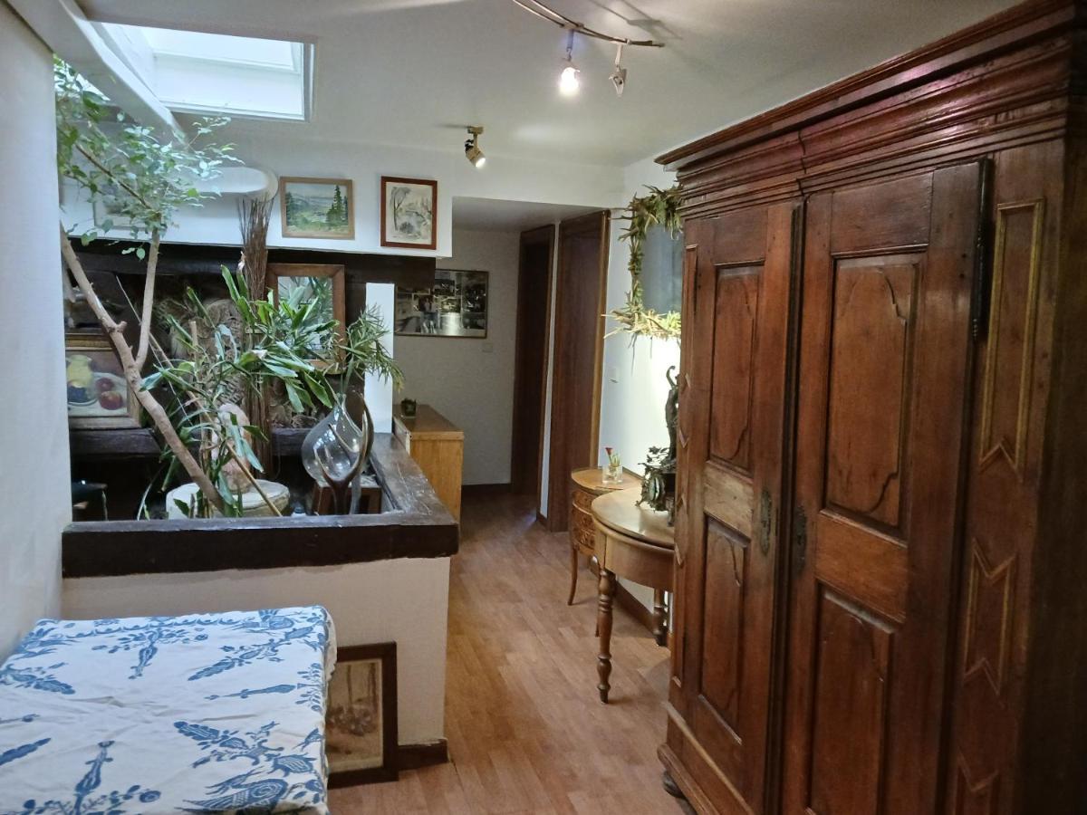Maison Alsacienne Du 18Eme Siecles ブリュマト エクステリア 写真